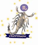 scorpion